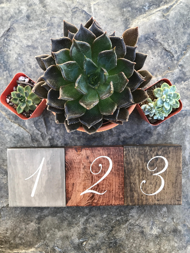 Wooden Table Numbers