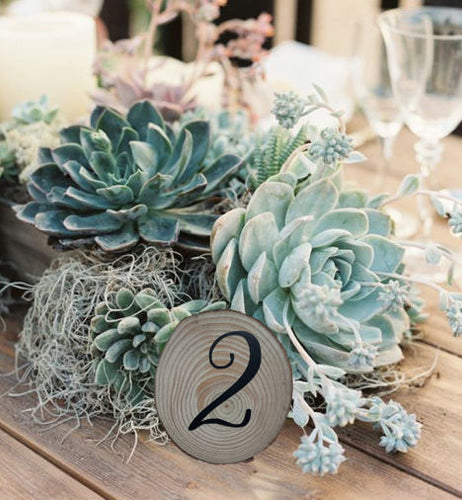 Wooden Slice Table Numbers