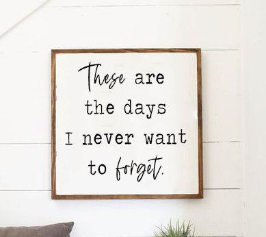 These Are The Days I Never Want To Forget Farmhouse Sign, Wooden Home Sign, Housewarming Present, Rustic Chic Decor, Wooden Quote Sign